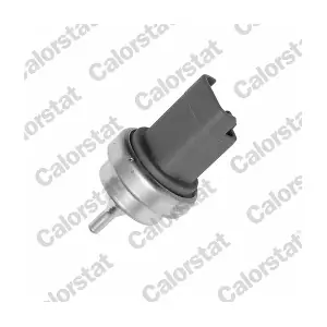 CALORSTAT by Vernet WS3015