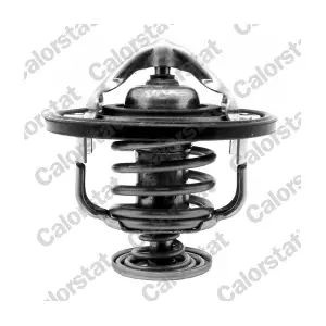 CALORSTAT by Vernet TH7261.85J