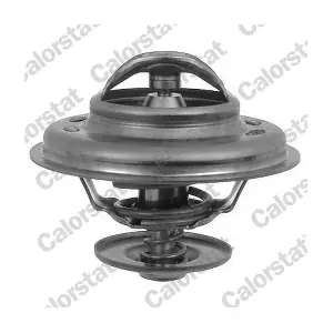 CALORSTAT by Vernet TH6246.88J