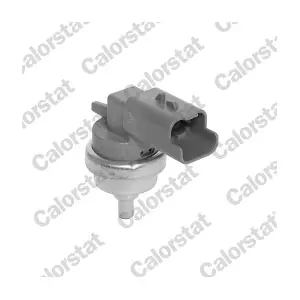 WS3186 CALORSTAT by Vernet