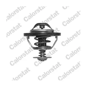 CALORSTAT by Vernet TH5353.83J