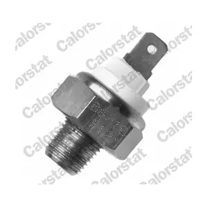 CALORSTAT by Vernet WS3023