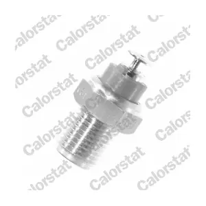 WS 2525 CALORSTAT by Vernet