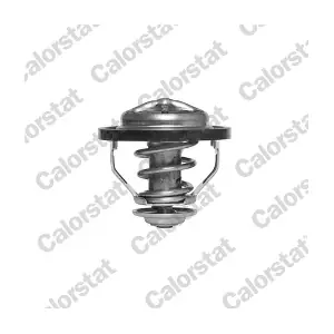CALORSTAT by Vernet TH5446.83J