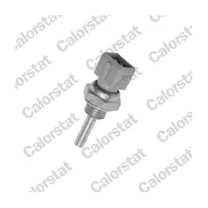CALORSTAT by Vernet WS2590