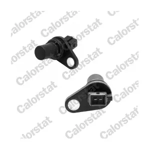 CS0166 CALORSTAT by Vernet