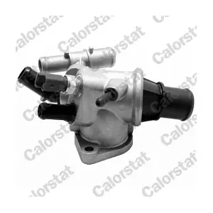 CALORSTAT by Vernet TH7175.88J