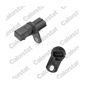 CS0276 CALORSTAT by Vernet