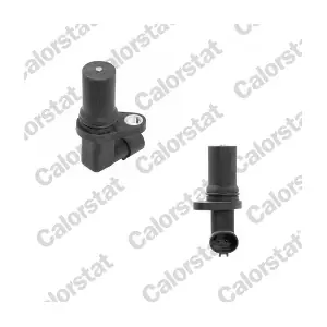 CS0259 CALORSTAT by Vernet