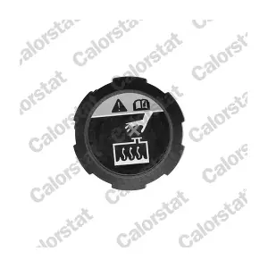 RC0200 CALORSTAT by Vernet