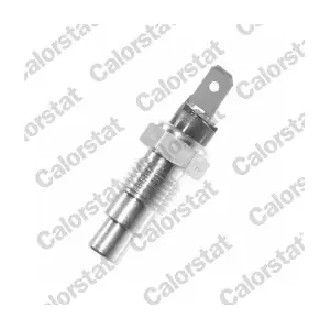 CALORSTAT by Vernet WS2544
