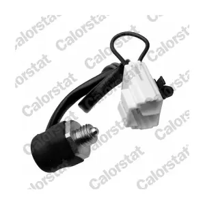 CALORSTAT by Vernet RS5596