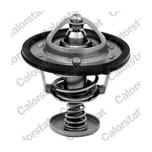 CALORSTAT by Vernet TH687082J