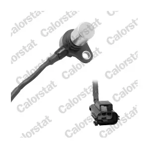 CS0419 CALORSTAT by Vernet
