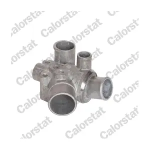 TH625480J CALORSTAT by Vernet