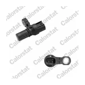 CS0214 CALORSTAT by Vernet