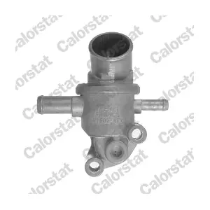CALORSTAT by Vernet TH6070.87J