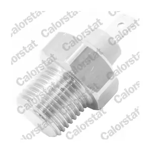 CALORSTAT by Vernet WS2966