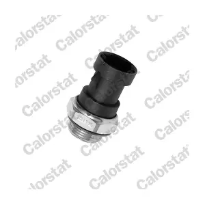 CALORSTAT by Vernet TS1110