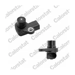 CS0305 CALORSTAT by Vernet