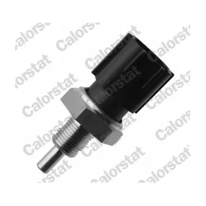WS3099 CALORSTAT by Vernet