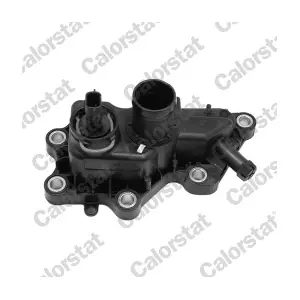 WF0198 CALORSTAT by Vernet