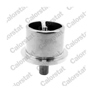 THS20001M.71 CALORSTAT by Vernet
