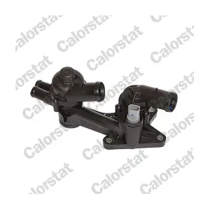 CALORSTAT by Vernet TH7169.80J