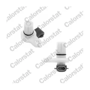 CS0063 CALORSTAT by Vernet