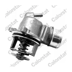 819833 VALEO