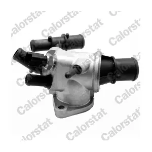 CALORSTAT by Vernet TH7176.88J
