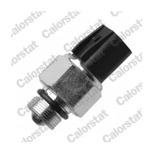 CALORSTAT by Vernet RS5625