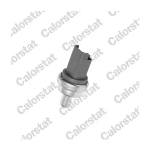 CALORSTAT by Vernet WS2609