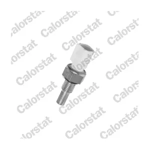 CALORSTAT by Vernet WS3039