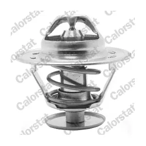 CALORSTAT by Vernet TH1515.81J