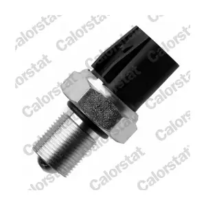 CALORSTAT by Vernet RS5624