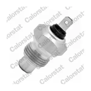 CALORSTAT by Vernet WS2506