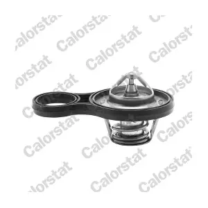 CALORSTAT by Vernet TH684391J