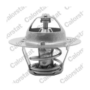 CALORSTAT by Vernet TH5971.88J