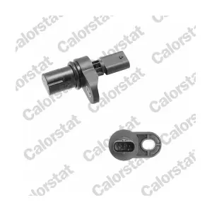 CS0119 CALORSTAT by Vernet