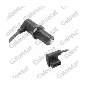 CS0196 CALORSTAT by Vernet