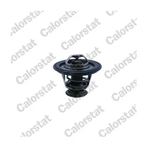 CALORSTAT by Vernet TH7153.78J