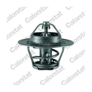 TH701690J CALORSTAT by Vernet
