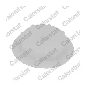 CALORSTAT by Vernet RC0175