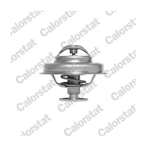 CALORSTAT by Vernet TH3327.81J