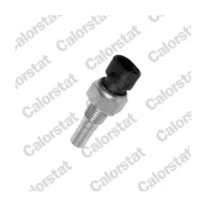 CALORSTAT by Vernet WS2586