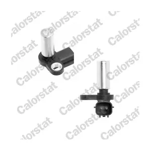 CS0178 CALORSTAT by Vernet
