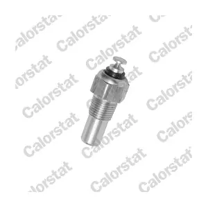 CALORSTAT by Vernet WS2546