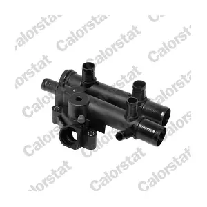 CALORSTAT by Vernet TH6964.89J
