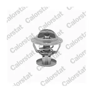 CALORSTAT by Vernet TH6578.87J